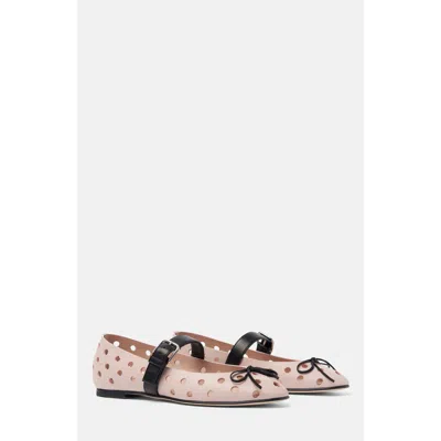 Scarosso Marion Ballerinas In Pink