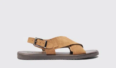 Scarosso Massimo Suede Sandals In Beige - Suede