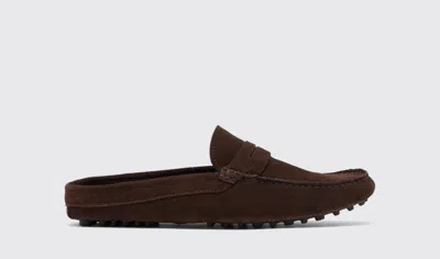 Scarosso Omar Mules In Brown - Suede