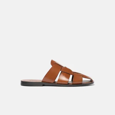 Scarosso Perseo Sandals In Brown