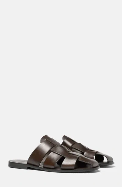 Scarosso Perseo Sandals In Brown