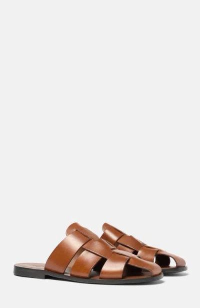 Scarosso Perseo Cage-style Sandals In Brown