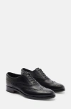 Scarosso Philip Oxfords
