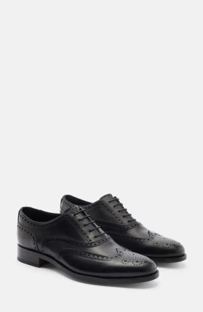 Scarosso Philip Oxfords