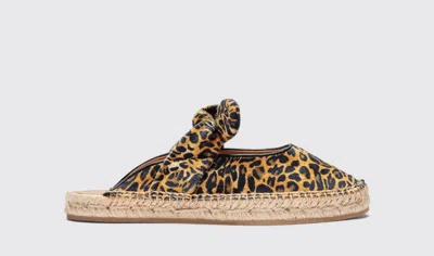 Scarosso Pina Leo Velvet - Woman Espadrilles Leo In Multi