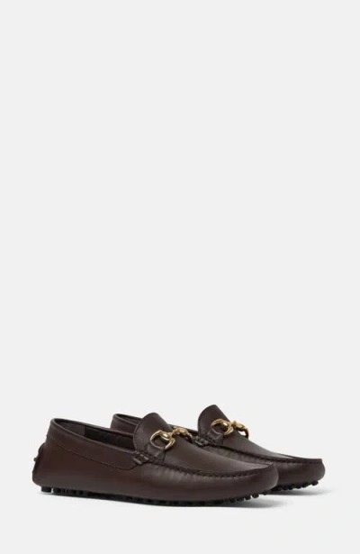 Scarosso Raphael Driving Shoes In Brown