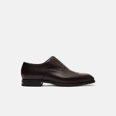 Scarosso Salvatore Oxfords In Brown_calf