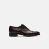 Scarosso Oxfords Silvio Calf Leather In Dark Brown Calf
