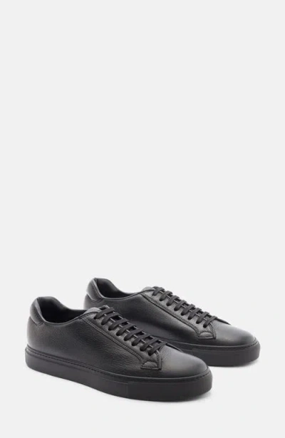 Scarosso Ugo Sneakers In Black - Deer