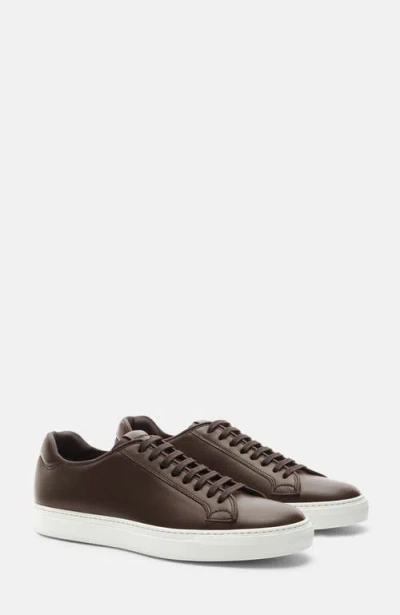Scarosso Ugo Sneakers In Dark Brown - Calf