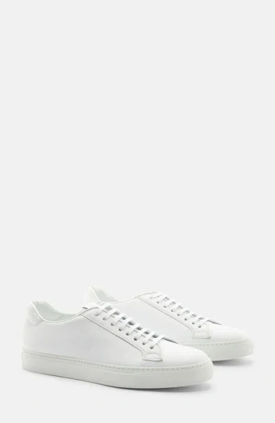 Scarosso Ugo Sneakers In White - Calf