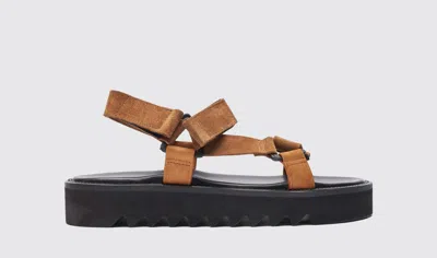 Scarosso Wooster V Suede Sandals In Brown - Suede