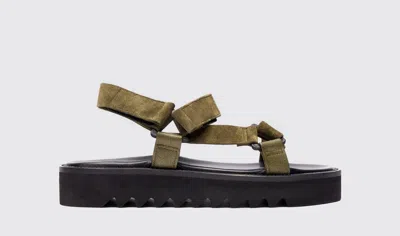 Scarosso Wooster V Suede Sandals In Khaki - Suede