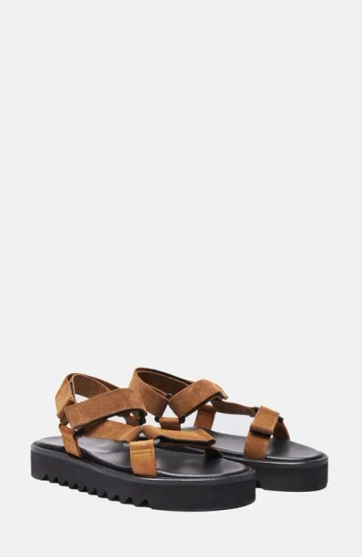 Scarosso Wooster V Sandals In Brown