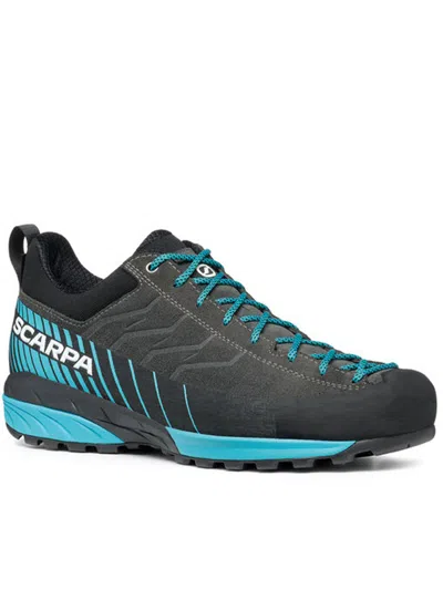 Scarpa Mescalito Gtx In Multi