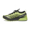 Scarpa Women's Ribelle Run Shoe In Light Green/ Green In Multi