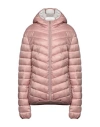 Scervino Woman Down Jacket Light Pink Size Xl Polyester In Pink