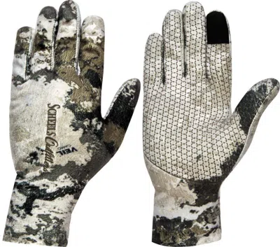 Scheels Outfitters Absolute Glove In Multi