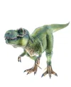 Schleich Dinosaur Tyrannosaurus Rex Toy Figure In Multi