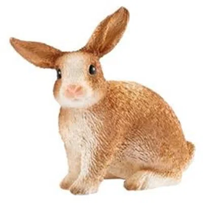 Schleich Farm World Rabbit Toy Plastic Brown & White - Pack Of 5