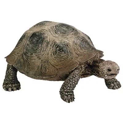 Schleich North America Giant Turtle -green