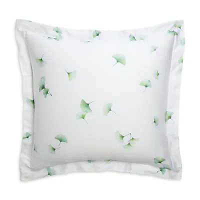 Schlossberg Aiko Blanc Sham, Euro In Multi
