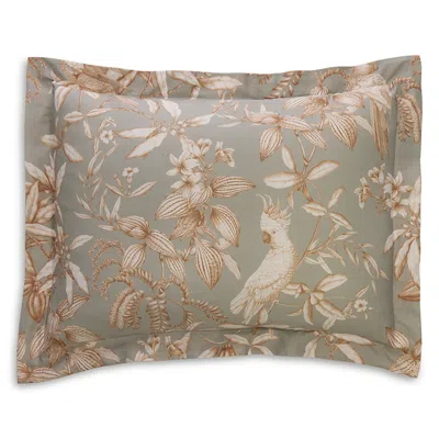 Schlossberg Calypso Vert Sham, King In Brown