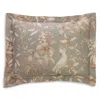 Schlossberg Calypso Vert Sham, Standard In Light Green