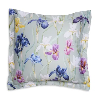 Schlossberg Charlotte Vert Sham, Euro In Multi