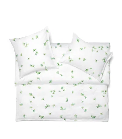 Schlossberg Cotton Aiko Super King Flat Sheet In White