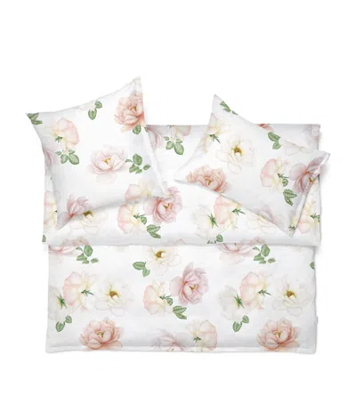 Schlossberg Cotton Rose-noblesse Super King Oxford Pillowcase In White
