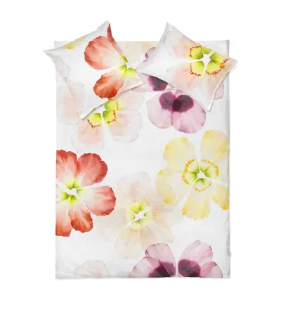 Schlossberg Cotton Sateen Aurora Flat Sheet