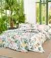 Schlossberg Floral Artemis-noblesse King Oxford Pillowcase In White