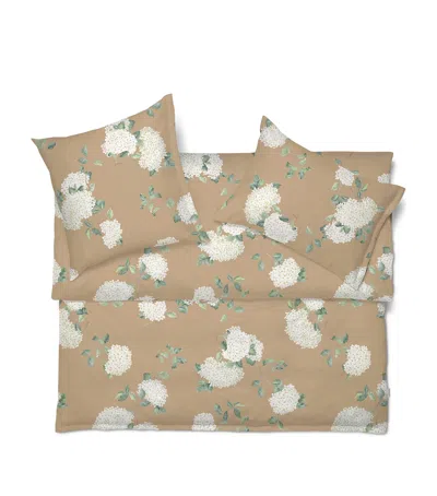 Schlossberg Hortensia King Oxford Pillowcase In Brown