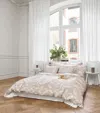 Schlossberg Omeo-organic King Oxford Pillowcase In Beige