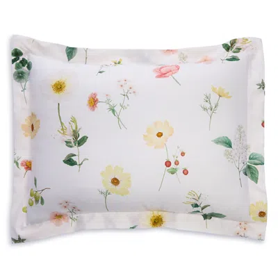 Schlossberg Zinnia Blanc Sham, King In Multi