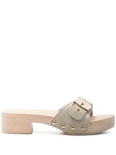 Scholl 40mm Pescura Jane Mules In Neutrals