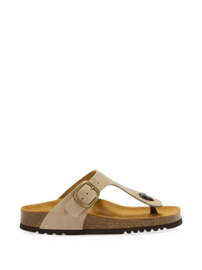 Scholl Anais Buckle-fastening Suede Sandals In Neutral