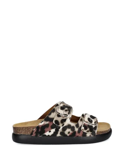 Scholl Animal-print Buckle Mules In Multi