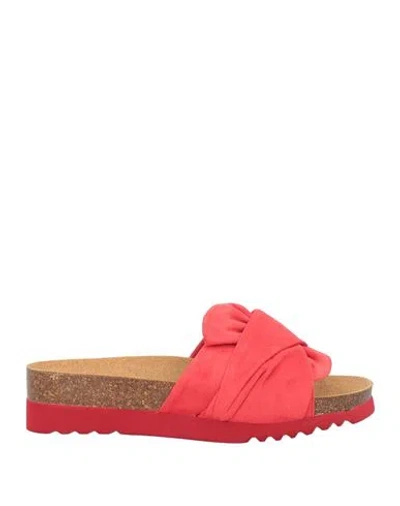 Scholl Bioprint Woman Mules & Clogs Red Size 8 Textile Fibers