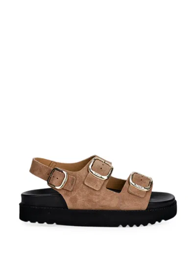 Scholl Blake Buckle-fastening Flatform Sandals In Neutral