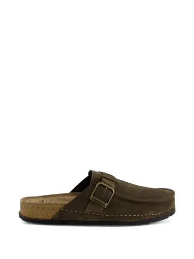 Scholl Bora Buckle-fastening Mules In Brown
