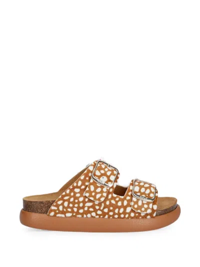 Scholl Buckle-fastening Animal-print Slides In Orange