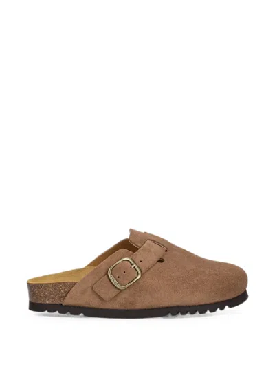 Scholl Buckle-fastening Suede Clogs In Brown