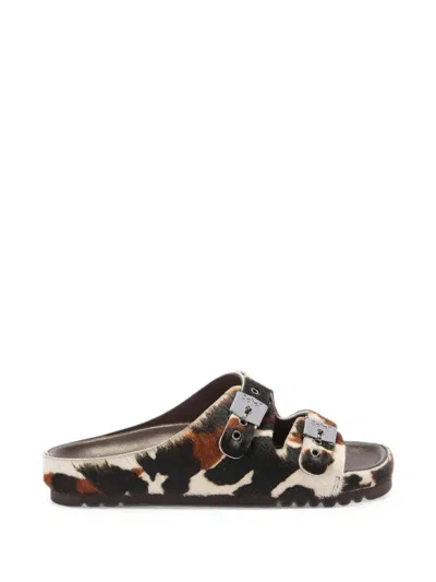 Scholl Cow-print Buckle-fastening Flat Sandals In Multi