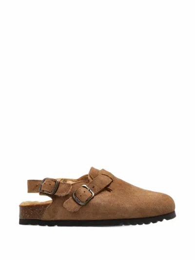 Scholl Fae Backstrap Suede Sandals In Brown