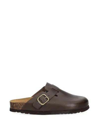 Scholl Fae New Buckle-fastening Leather Flat Mules In Brown