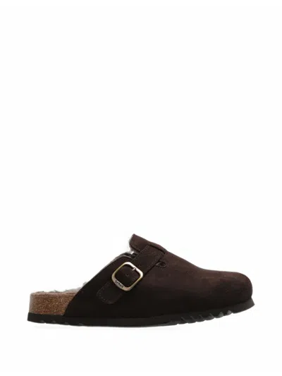 Scholl Fae New F Buckled Mules In Brown