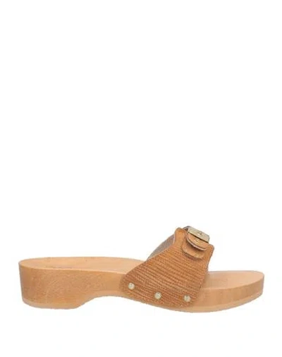 Scholl Iconic Woman Mules & Clogs Camel Size 7 Leather In Sand