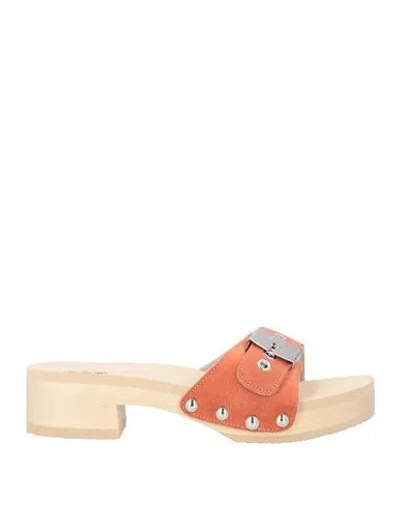 Scholl Iconic Woman Mules & Clogs Coral Size 8 Leather In Multi